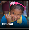 Sesal